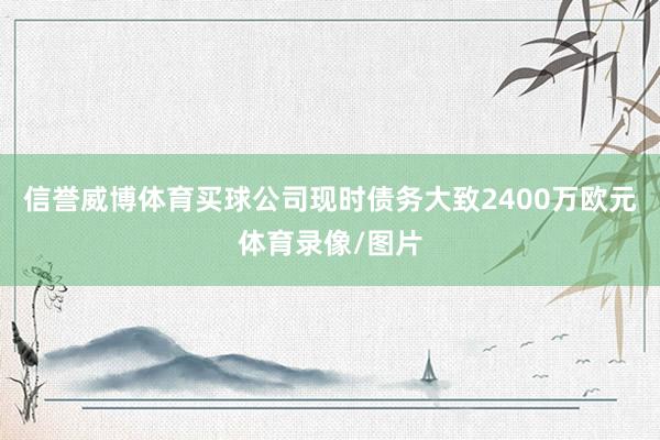 信誉威博体育买球公司现时债务大致2400万欧元体育录像/图片