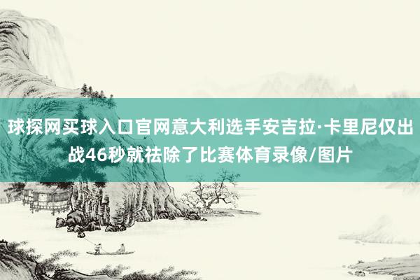 球探网买球入口官网意大利选手安吉拉·卡里尼仅出战46秒就祛除了比赛体育录像/图片