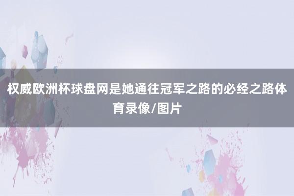 权威欧洲杯球盘网是她通往冠军之路的必经之路体育录像/图片