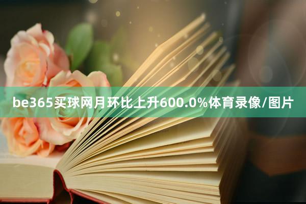 be365买球网月环比上升600.0%体育录像/图片