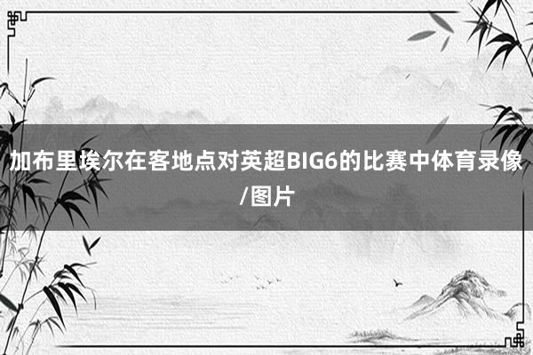 加布里埃尔在客地点对英超BIG6的比赛中体育录像/图片