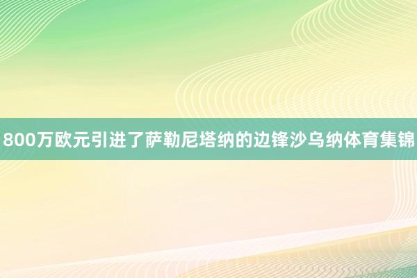 800万欧元引进了萨勒尼塔纳的边锋沙乌纳体育集锦