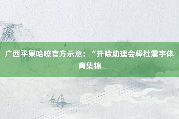 广西平果哈嘹官方示意：“开除助理会释杜震宇体育集锦