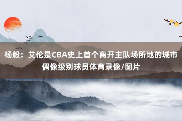 杨毅：艾伦是CBA史上首个离开主队场所地的城市偶像级别球员体育录像/图片